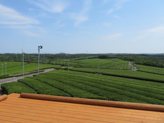 ���͓������i���쒃�̒����j�̎ʐ^1