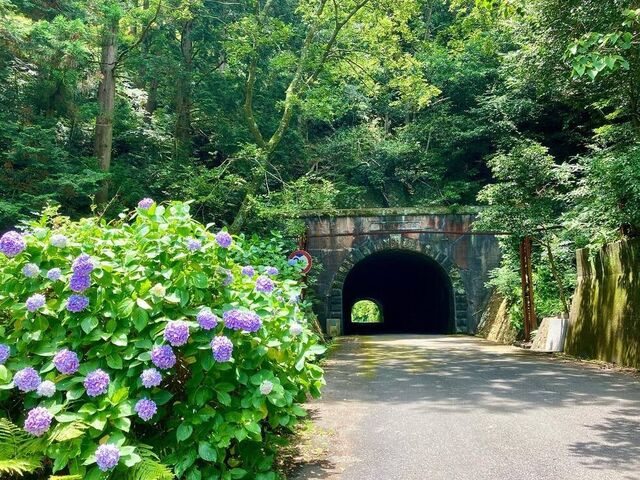 ����詓��̎ʐ^1