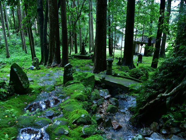 �Q�ؕs�����E�������̎ʐ^1