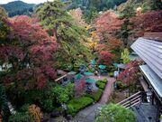 ���V�𑢁y�𑠃c�[���Y���z�̎ʐ^3