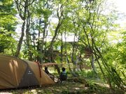 �Ȃׂ��獂���E�X�̉ƃe���g�T�C�g�̎ʐ^2