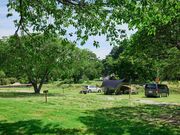 ��l�ˌ����̎ʐ^2