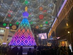 �A�~���v���U�������@KAGOSHIMA CENTRAL ARC�̎ʐ^1