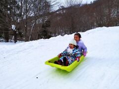 �����̂������y�� IN SHINYU ONSEN�̎ʐ^1