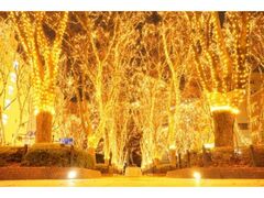 SENDAI���̃y�[�W�F���g�̎ʐ^1