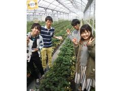 ���f��y���@䕒뉀�̎ʐ^1