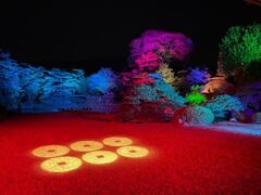 ^c@뉀CgAbvutv̎ʐ^1