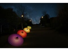�f���p�[�N�u���H�̂�����Ձv�̎ʐ^1