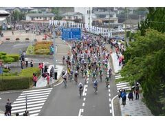 �c�[���E�h�E���2026�̎ʐ^1