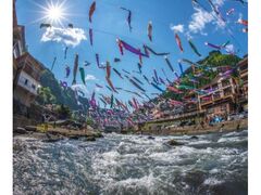 �񗧉����̂ڂ�Ղ�̎ʐ^1