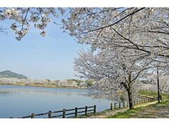 �������R�����̍��̎ʐ^1