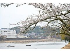 �l�g��Ղ̍��̎ʐ^1