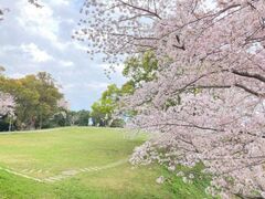 ���̎�����@���̎��`�F���[���C���̍��̎ʐ^1