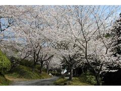 �փ��J�����̍��̎ʐ^1