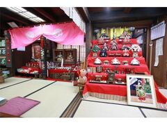 �l�g�����̂ЂȂ܂�̎ʐ^1