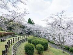 ��ÎR�����̍��̎ʐ^1