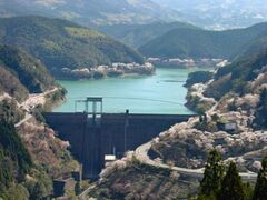 �s�[�_���΂̈ꖜ�{���̎ʐ^1