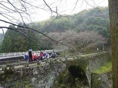 �������җ��j�E�H�[�Nin�R�s���̎ʐ^1