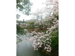 �F���_�{�̍��̎ʐ^1