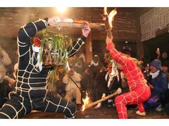 �V�O���C���S��̎ʐ^1