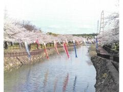 ���a�s�������̍��̎ʐ^1