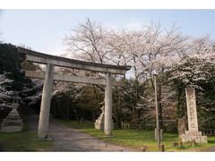 �啪�p�욠�_�Ђ̍��̎ʐ^1