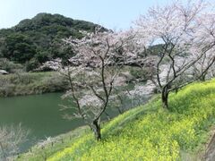 ����_���������̍L��̂�����̎ʐ^1