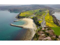 �ԂƃA�[�g�̖��u����@�v�؂̉ԃt�F�X�^�̎ʐ^1