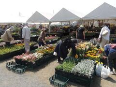 ���������l�Ƃ݂ǂ�ӂꂠ�������̎ʐ^1