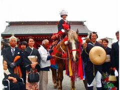 �V�����V�����n�������Č������̎ʐ^1