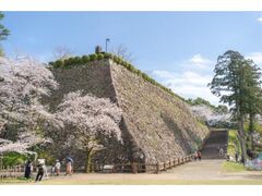 ������ՁE��R�����̍��̎ʐ^1