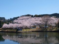 ��Č����̍��̎ʐ^1