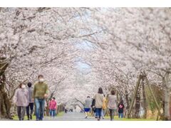 ��q�u�����̍��̎ʐ^1