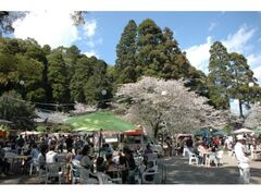 ����隬���܂�`���Ɠ���ƕ��y�`�̎ʐ^1