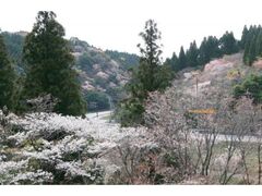 �x�ؓ��@�R���̎ʐ^1