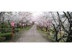 �����u�����@���̎ʐ^1