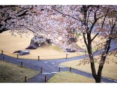 ���w�薼�� ��މ��̍��̎ʐ^1