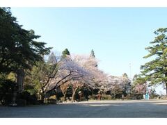 �����_�{�̍��̎ʐ^1