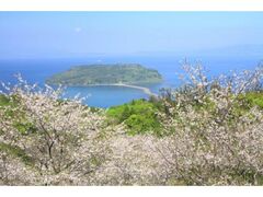 �����x�̍��̎ʐ^1