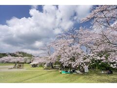 �ۉ������̍��̎ʐ^1