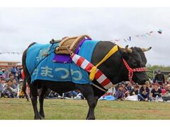 �������܂�̎ʐ^1