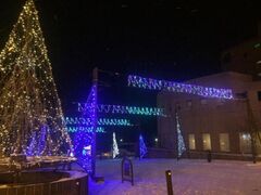 ����Ή���@�C���~�l�[�V�����X�g���[�g�̎ʐ^1