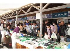 ��肠���`���s�̎ʐ^1