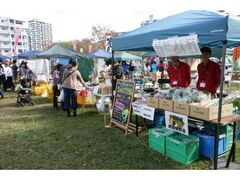 �x�C�^�E�����s�̎ʐ^1