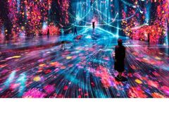 �X�r�� �f�W�^���A�[�g �~���[�W�A���F�G�v�\�� �`�[�����{�{�[�_���X�̎ʐ^1