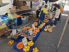 ���l�s��@�Z�֎s�̎ʐ^1