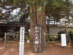 ���󂳂�ۂ̎ʐ^1