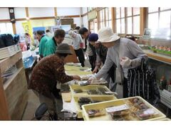 �v���l���s�̎ʐ^1