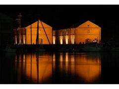 �Ԃ�񂪑q�ɌQ���C�g�A�b�v�̎ʐ^1