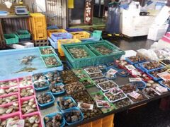 �c�K�������j���s�̎ʐ^1